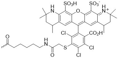 Bio-Synthesis Inc. Oligo Structure